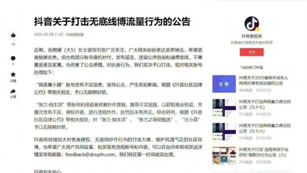 张兰“俏江南”陨落记：对赌失败陷债务漩涡