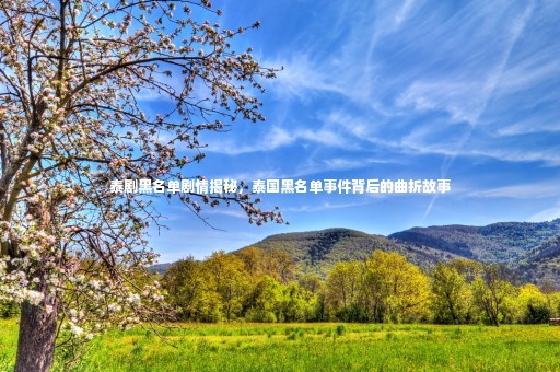 泰剧黑名单剧情揭秘，泰国黑名单事件背后的曲折故事