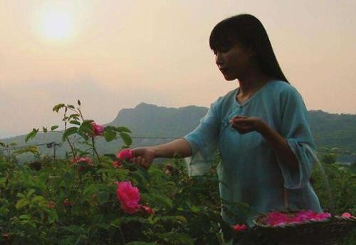 网红李子柒身世曝光,你绝对不知道的秘密