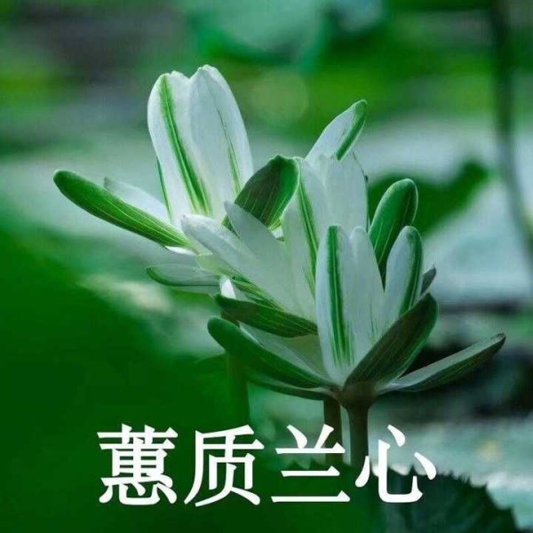 张源玮
