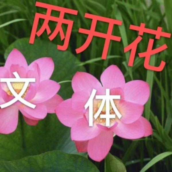 马霖