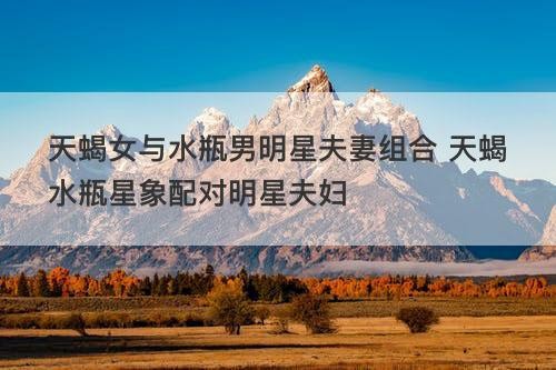 天蝎女与水瓶男明星夫妻组合 天蝎水瓶星象配对明星夫妇