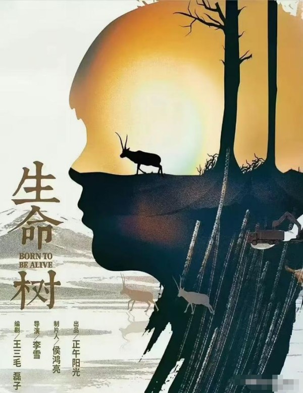 杨紫，90后小花的“硬核”突围：从国民闺女到青藏高原的铿锵玫瑰