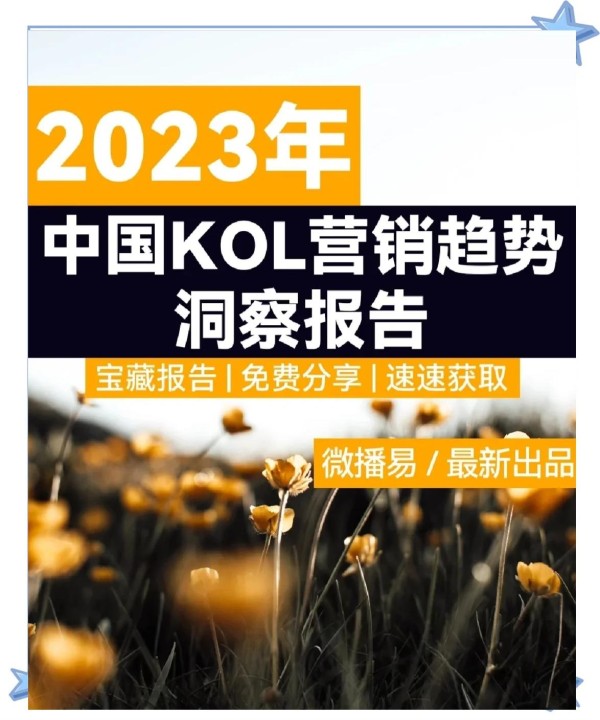 2023年KOL营销趋势与平台机会全解析