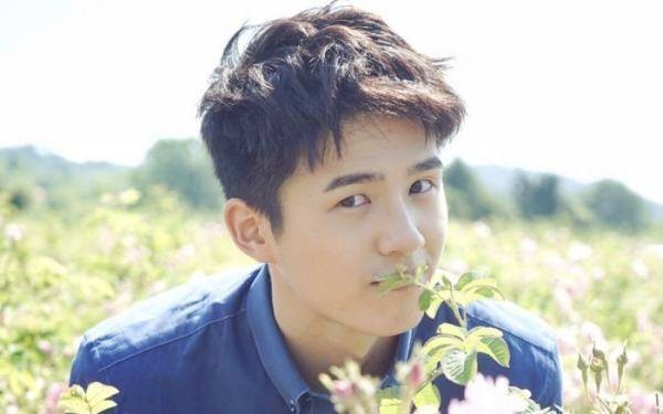 刘昊然为什么这么受男生喜欢 刘昊然那么招男生喜欢的原因