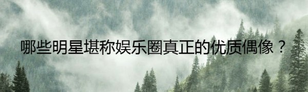 哪些明星堪称娱乐圈真正的优质偶像？