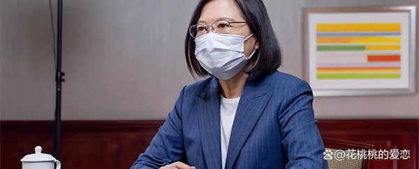 蔡英文的政治演变：从台湾青年到领袖