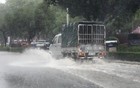 广东100多个暴雨预警生效中！紧急提醒