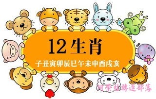火象星座揭秘:十二生肖中的明星星座大解析!