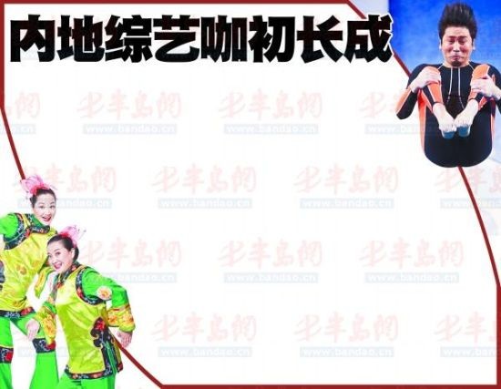 综艺节目扎堆爆棚催生演艺圈新行业