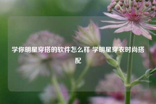 学你明星穿搭的软件怎么样 学明星穿衣时尚搭配