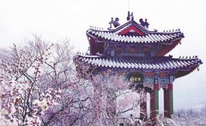 鼓楼娃用单反拍摄微视频走红网络 3分17秒，带你看遍一年半的美丽南京