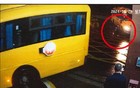 东莞一校门口发生车祸致1名小学生死亡，事故报告公布