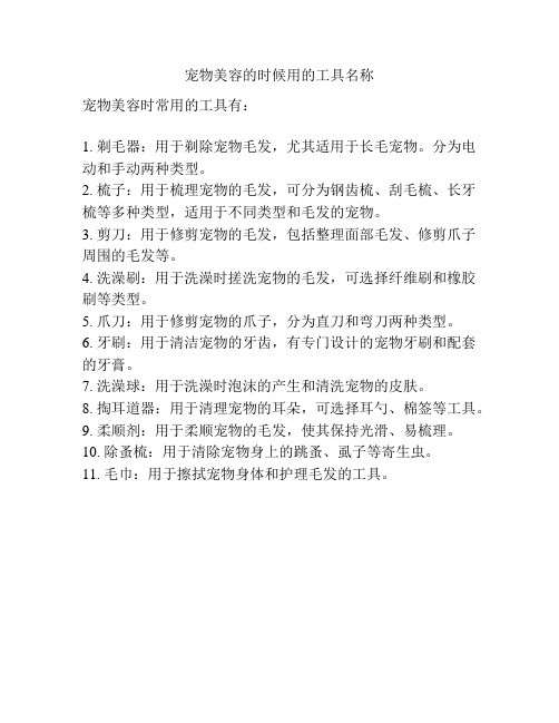 宠物美容的时候用的工具名称