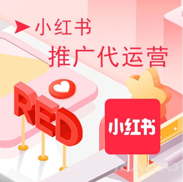 2021年小红书平台kol粉丝分析研究报告