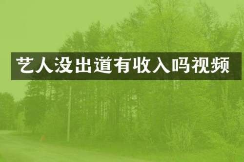 艺人没出道有收入吗视频