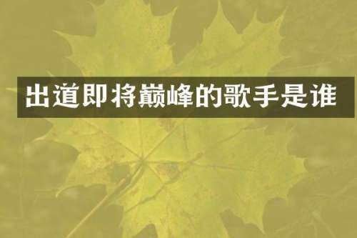 出道即将巅峰的歌手是谁