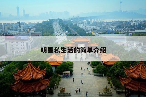 明星私生活的简单介绍