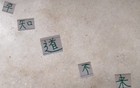 真敢说！北京国安主帅赛蒂恩如果早知道训练场地烂 就不来了