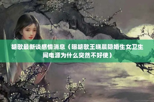 胡歌最新谈感情消息（曝胡歌王晓晨隐婚生女卫生间电源为什么突然不好使）