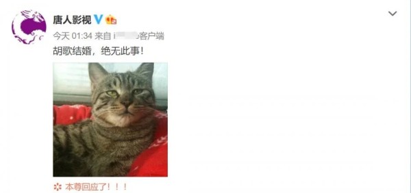 胡歌被曝与同公司95年女星结婚 唐人否认：绝无此事！