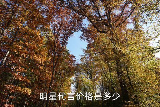 明星代言价格是多少