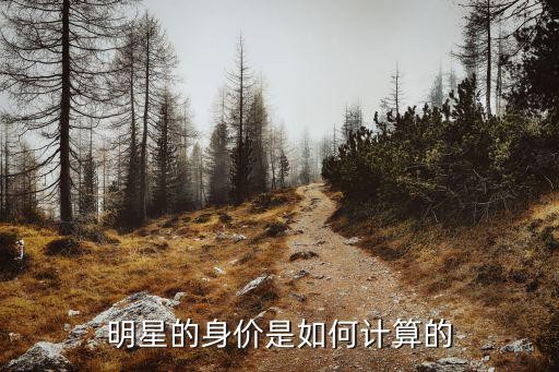 明星的身价是如何计算的