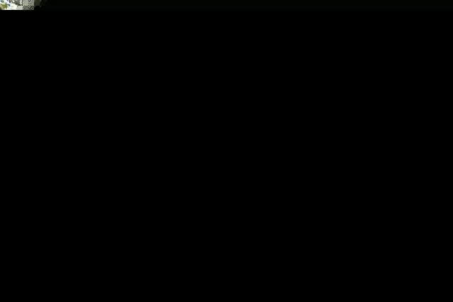 偶像练习生代言悦诗风吟！传1200万天价代言费，堪比一线明星