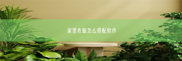 家里衣服怎么搭配软件(图1)