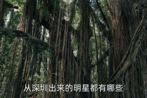 从深圳出来的明星都有哪些