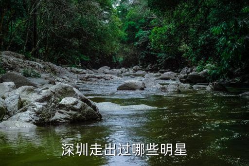 深圳走出过哪些明星
