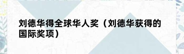 刘德华得全球华人奖（刘德华获得的国际奖项）