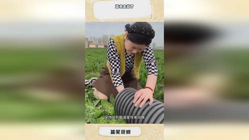 这也太壮了