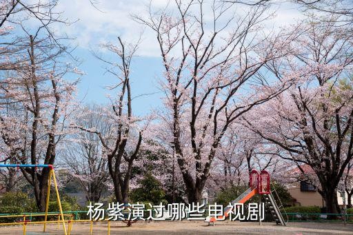 杨紫演过哪些电视剧