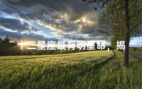 十二星座最有明星命,揭秘哪些星座天生闪耀