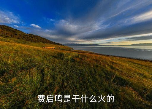费启鸣是干什么火的
