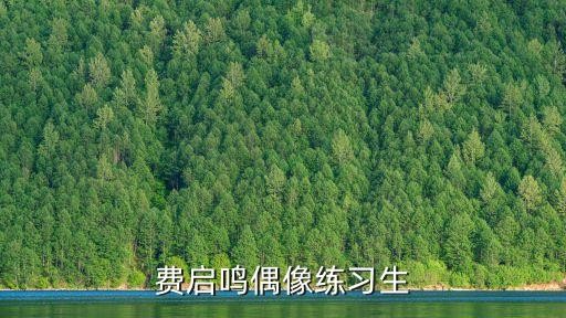 费启鸣偶像练习生