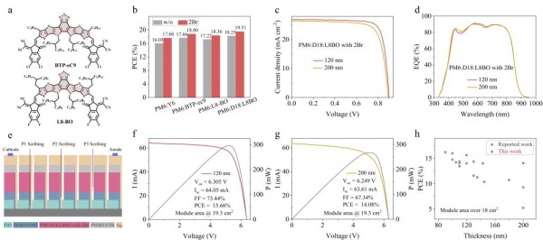 陆仕荣团队联合浙江大学杨旸团队在Energy & Environmental Science发表最新成果