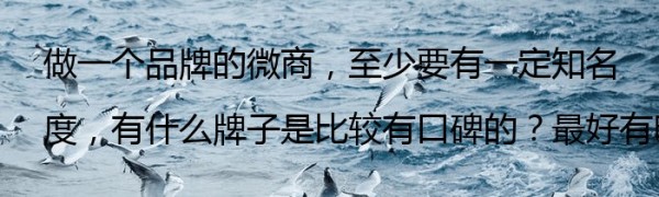 做一个品牌的微商，至少要有一定知名度，有什么牌子是比较有口碑的？最好有明星代言。