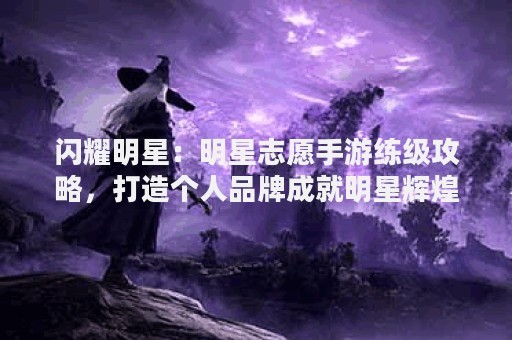 闪耀明星：明星志愿手游练级攻略，打造个人品牌成就明星辉煌