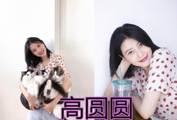 明星产后复出：高圆圆状态很棒，赵丽颖恢复不错，而她才是女神