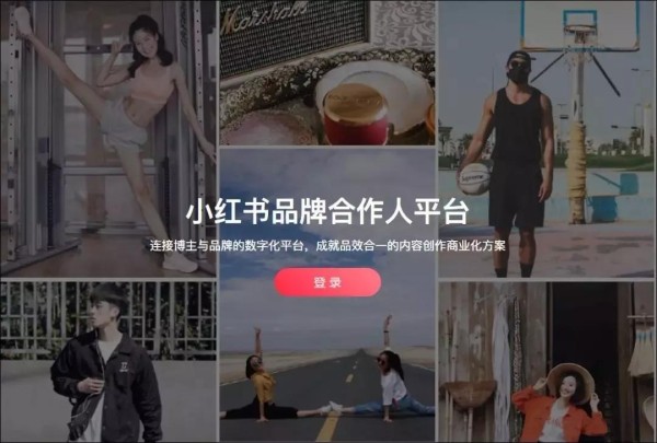 洞察小红书kol的粉丝质量和影响力