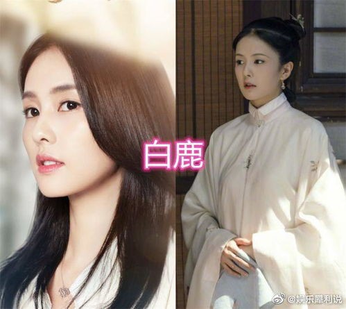 白鹿转型失败