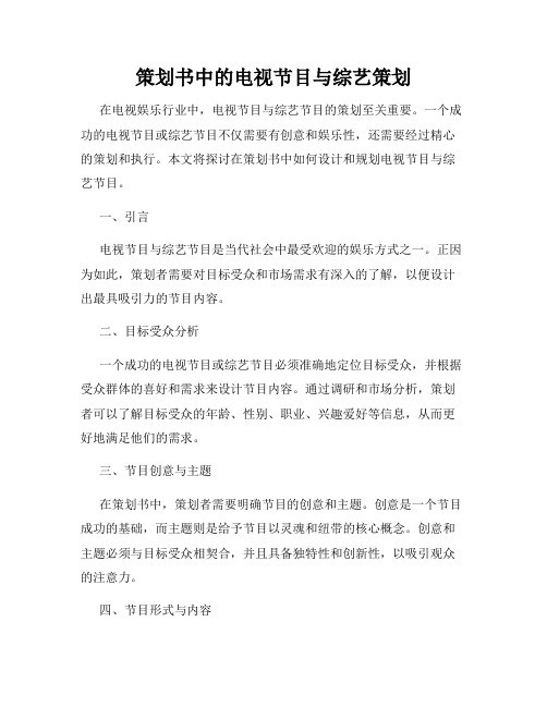 策划书中的电视节目与综艺策划