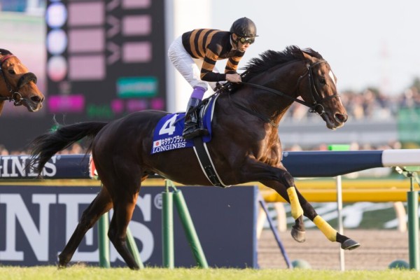 Kitasan Black wins 2017 Japan Cup