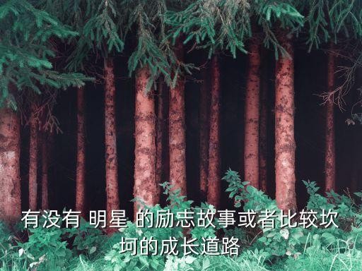 有没有 明星 的励志故事或者比较坎坷的成长道路