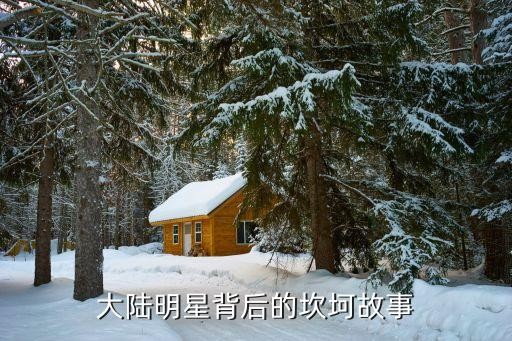 大陆明星背后的坎坷故事