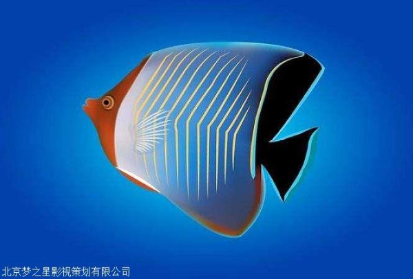 明星代言,明星代言产品,广东明星代言公司,