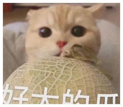 罗志祥分手，网友们的段子文案让我笑到头掉～