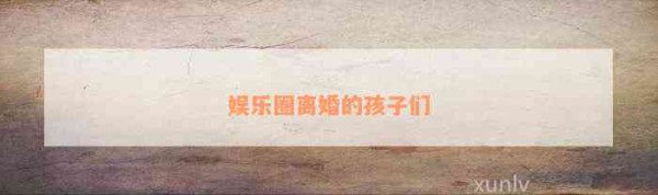 娱乐圈离婚的孩子们